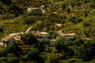 Fototapeta na wymiar typical spanish village houses and farmland in the hills of andalusia