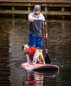 Paddle With The Dog