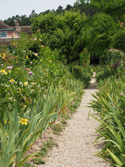path in the garden