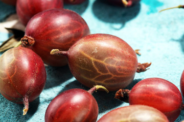 Fresh gooseberries on table. A crop of ripe gooseberry.