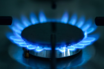 A view of the gas stove in daylight in a kitchen. Blue flame of natural gas. Natural energy. Liquefied natural gas.