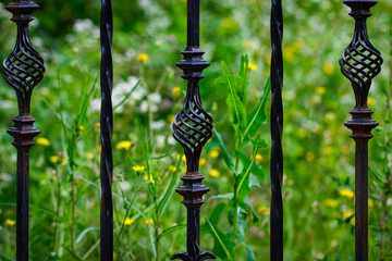 wrought-iron gates, ornamental forging, forged elements close-up