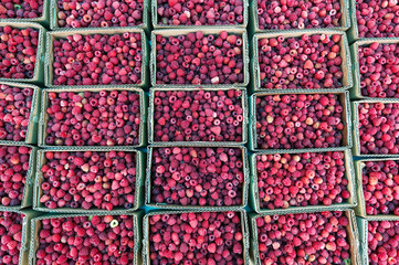 Red raspberries in cardboard boxes for sale. Closeup of ripe raspberries in boxes.
