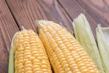 Fresh sweet corn on table