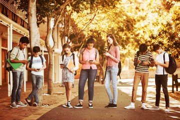 Students using mobile phone on road in campus