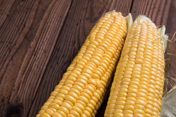Fresh sweet corn on table