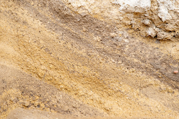 archaeological cut of the earth's surface