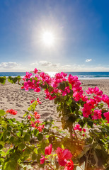 plage de Boucan sous le soleil des tropiques, &icirc;le de la R&eacute;union 