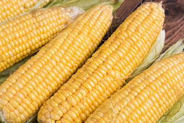 Corn on the cob. Fresh sweet corn