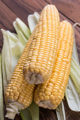 Corn on the cob. Fresh sweet corn