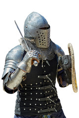 Medieval knight with the sword and shield.