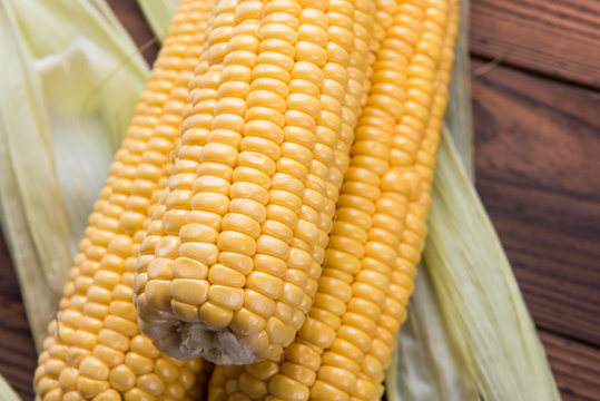 Corn on the cob. Fresh sweet corn