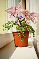 beautiful pink flower of beads on the window-sill