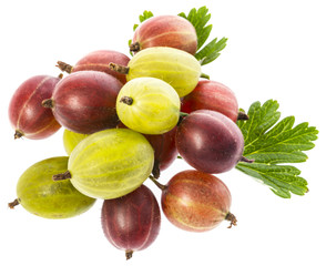 fresh gooseberries isolated on a white background