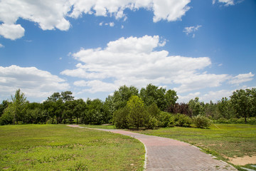 Fototapeta na wymiar Spring landscape with green grass and clouds