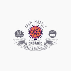 Grapefruit word on background illustration. Fruit web element, Isolated Vector