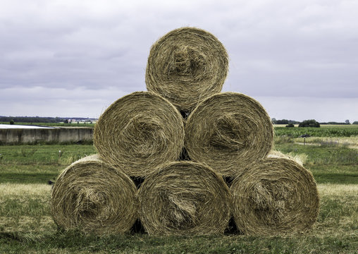 Stacked like a pyramid, round yellow bales of straw in the cloudy weather. Good bedding for cows in winter. Dairy farm in Podlasie, Poland.