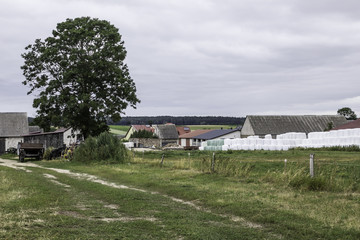 Stacked as a pyramid,round bales of silage,wrapped in a membrane.Food for the cows in the winter near the barns for the cows.Farm in Podlasie, Poland.