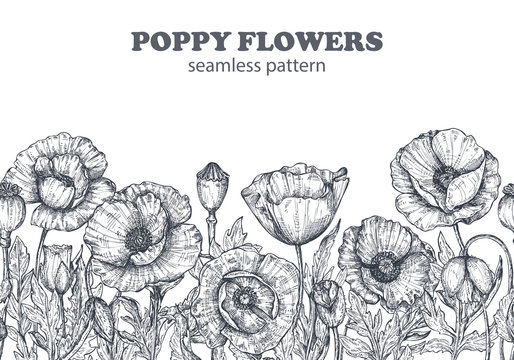 Floral seamless pattern with hand drawn poppy flowers and leaves.