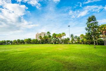 Green grass field with building in Public Park