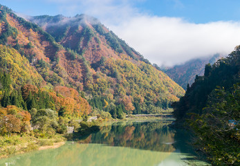 Fototapeta na wymiar Tadami Fukushima Autumn