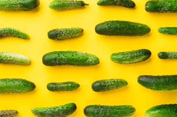 Cucumbers on a yellow background