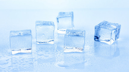Obraz premium Cubes of ice on bule background