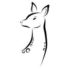 A young spotted deer, a sketch, a beautiful animal