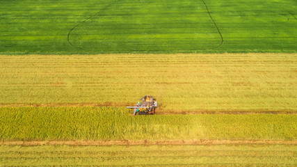 Combine harvester machine with rice farm.Aerial view and top view. Beautiful nature background.