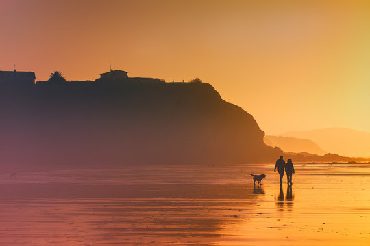 couple walking the dog on beach