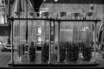 coffee beans in test tube in black and white