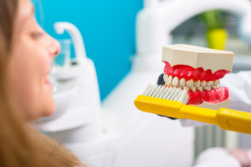 dentist shows hot to brush teeth