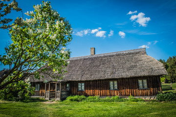 Fototapeta na wymiar Old house in forest. Open-air ethnography museum near Riga, Latvia.