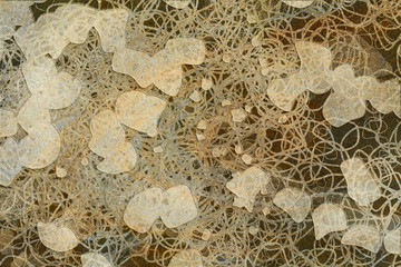 Grunge & rough. Cover, drawing, canvas & details.