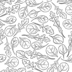 Arugula and spinach.  Seamless pattern on a white background. Hand-drawn floral background. Monochrome vector illustration.
