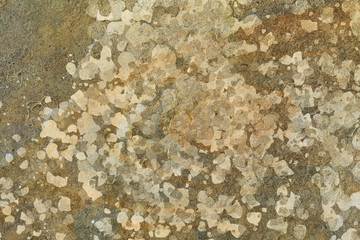 Grunge & rough. Creative, decoration, wallpaper & graphic.