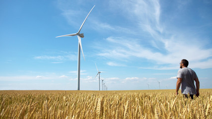 Man on yellow field of wheat with windmills for electric power production