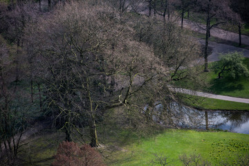 Wintertime to spring starting in a park seen from above