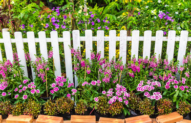 Beautiful cozy home flower garden on summer./ White wood fence and flower decoration in cozy home garden on summer.