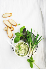 Green sauce based on fresh garden seasonal herbs and spices, spring onion and variegated basil. Top View.