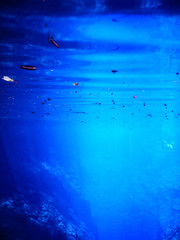 Lagoon mysterious, beautiful lagoon of transparent waters of turquoise blue, located in the city of...