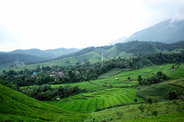 Landscape of the lined Green terraced rice field on the mountain in Mae chaem, Chaing Mai, Thailand.