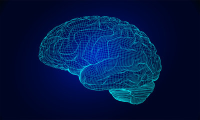Wireframe brain vector