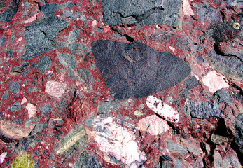  Crestone conglomerate rock texture in the Sangre De Cristo Mnts of Southern Colorado.