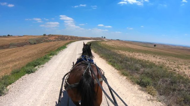 Dark brown horse pulling a Carriage on a dirt path on a sunny day.