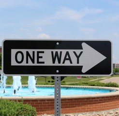 The black and white one way sign on a close view.