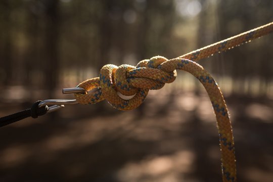 Tied hammock strap in forest