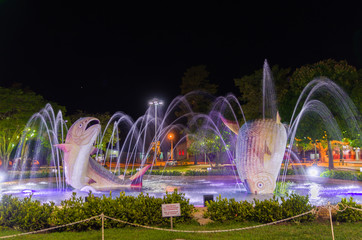 Liberty Square, piraputangas fish, located in the city of Bonito