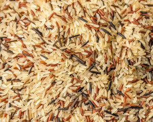 two rows of rice varieties : brown rice, black rice
