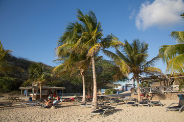 Schöner Strand mit Palmen in der Karibik